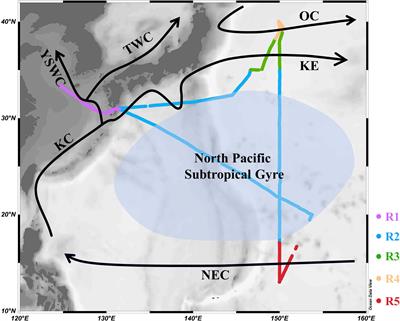 High-resolution distribution and emission of dimethyl sulfide and its relationship with pCO2 in the Northwest Pacific Ocean